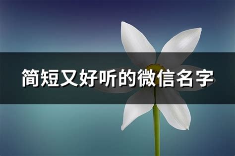 微信名字|2050个简单好听的微信名网名,高雅不俗昵称（41